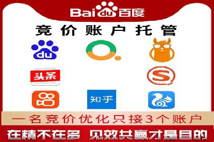 优化SEM竞价策略：成功案例剖析